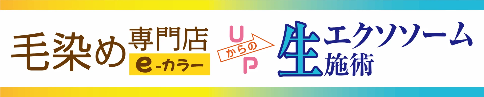 毛染め専門店 e -カラー｜生エクソソームバナー