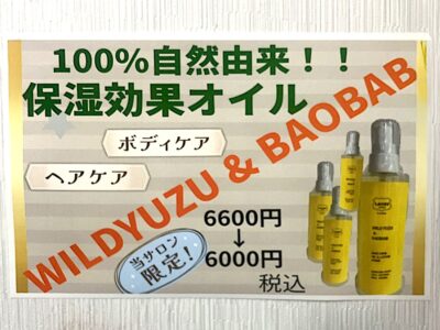 WILD BAOBABポスター